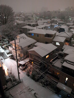 東京の雪2010/2/2