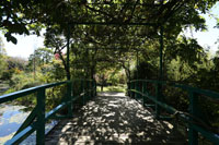 水の庭の太鼓橋